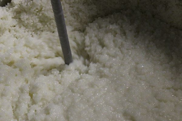 【9月】 秋の生モト造り 白蔵（びゃくぞう）1800ml