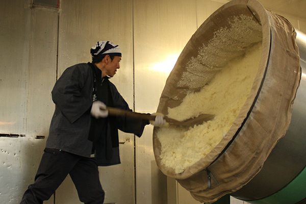 鼓春楽(こしゅんらく) 1800ml | 丹波酒蔵直送 小鼓 ドットコム