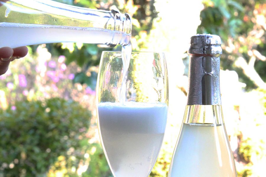 美白酵酒(びはっこうしゅ) 360ml | 丹波酒蔵直送 小鼓 ドットコム