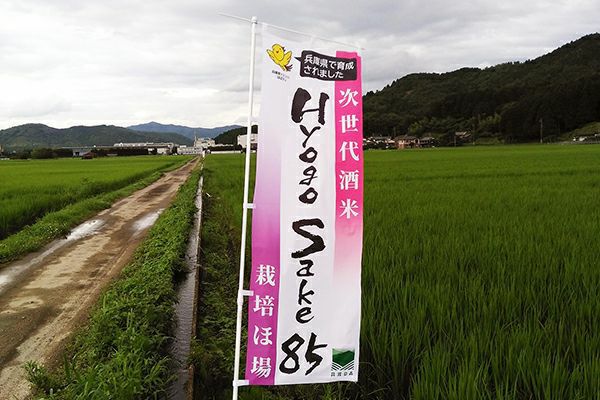 【発売記念】 丙午（ひのえのうま）・干支ラベル 720ml2本+限定お猪口 ※ご自宅お届け推奨※